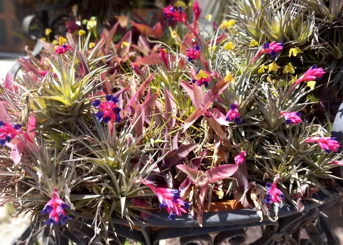 Pensjonat Sky San Remo